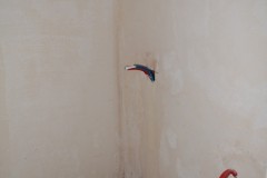 Osiedle gnieźnieńska etap II - budynek N - sierpień 2025